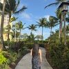 palmtree_island